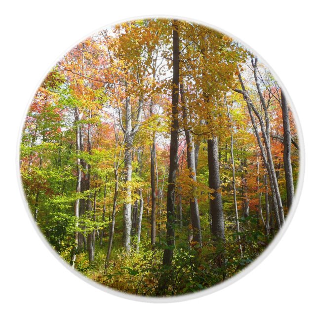 Fall Forest I Autumn Landscape Photography Ceramic Knob (Front)