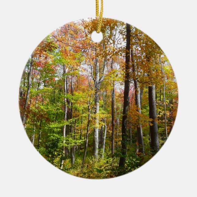 Fall Forest I Autumn Landscape Photography Ceramic Tree Decoration (Front)
