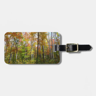 Fall Forest I Autumn Landscape Photography Luggage Tag