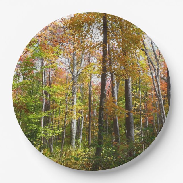 Fall Forest I Autumn Landscape Photography Paper Plate (Front)