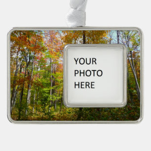 Fall Forest I Autumn Landscape Photography Silver Plated Framed Ornament