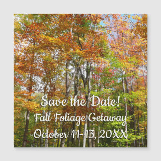 Fall Forest II Autumn Landscape Photography