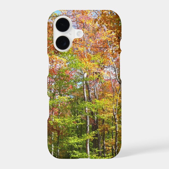 Fall Forest II Autumn Landscape Photography (Back)