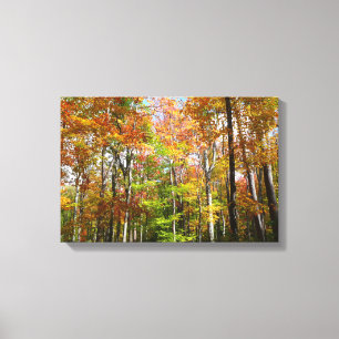 Fall Forest II Autumn Landscape Photography Canvas Print