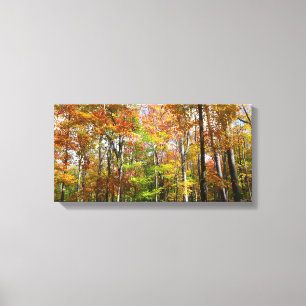Fall Forest II Autumn Landscape Photography Canvas Print