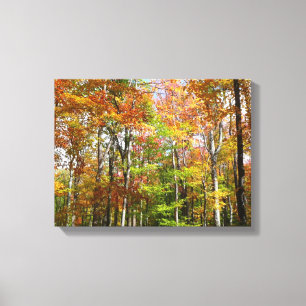 Fall Forest II Autumn Landscape Photography Canvas Print