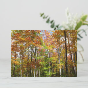 Fall Forest II Autumn Landscape Photography Card