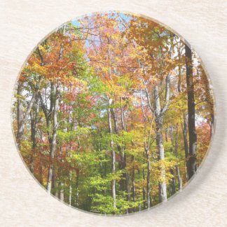Fall Forest II Autumn Landscape Photography Coaster
