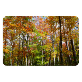 Fall Forest II Autumn Landscape Photography Magnet