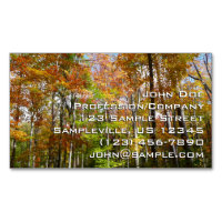 Fall Forest II Autumn Landscape Photography
