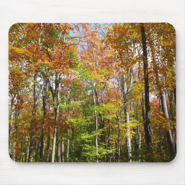 Fall Forest II Autumn Landscape Photography Mouse Pad (Front)