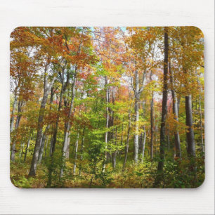 Fall Forest II Autumn Landscape Photography Mouse Pad