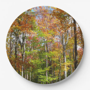 Fall Forest II Autumn Landscape Photography Paper Plate