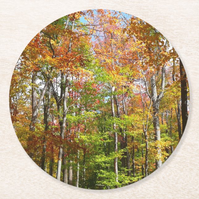 Fall Forest II Autumn Landscape Photography Round Paper Coaster (Front)