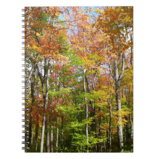 Fall Forest II Autumn Landscape Photography Spiral Notebook