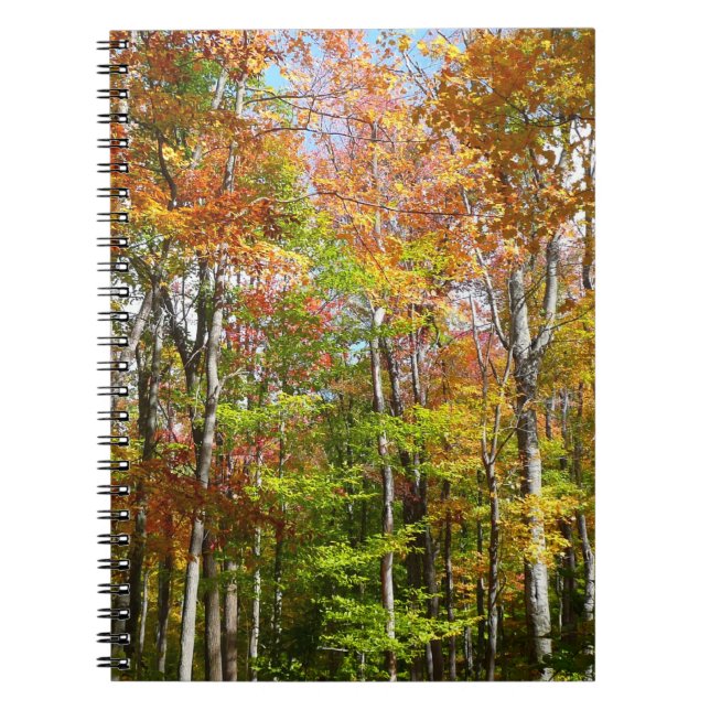 Fall Forest II Autumn Landscape Photography Spiral Notebook (Front)