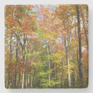 Fall Forest II Autumn Landscape Photography Stone Coaster
