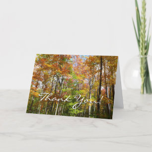 Fall Forest II Autumn Landscape Photography Thank You Card