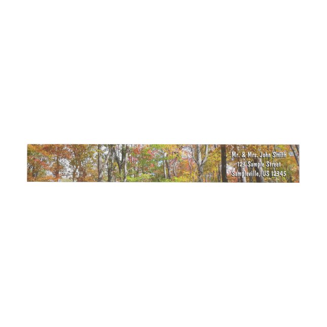 Fall Forest II Autumn Landscape Photography Wrap Around Label (Individual)