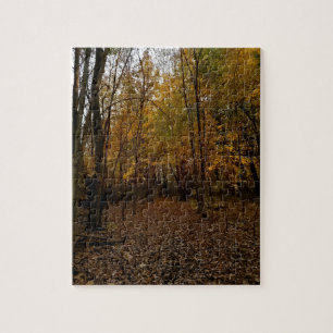 Fall Forest Sunset Puzzle