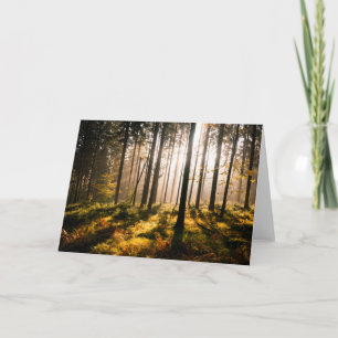 Fall Forest with Sunrays Card