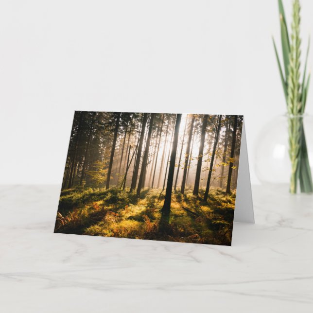 Fall Forest with Sunrays Card (Front)