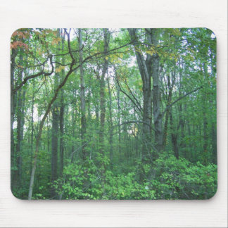 Fall Forestry Mouse Pad