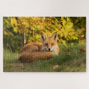 Fall Fox Jigsaw Puzzle