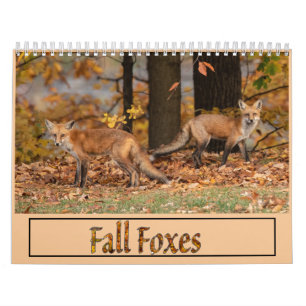 Fall Foxes Calendar