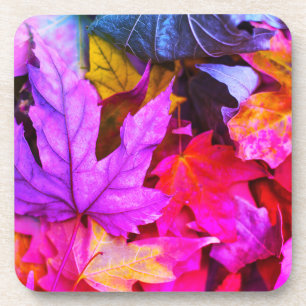 Fall frosty leaf fiesta coasters