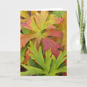 Fall Geranium Card