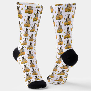 Fall German Shepherd Dog (black tan) Pumpkins Cute Socks