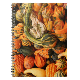 Fall Gourd Background Spiral Notebook