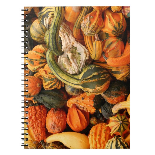 Fall Gourd Background Spiral Notebook (Front)