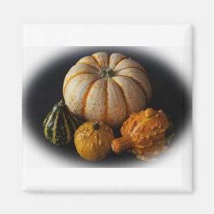 Fall gourds and pumpkin magnet