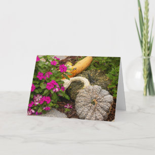 Fall Gourds & Impatiens Greeting Card