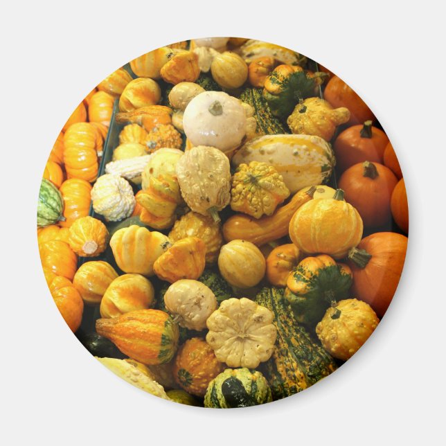 Fall Gourds Magnet (Front)