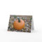Fall Halloween pumpkin card