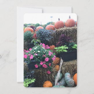Fall Halloween Pumpkins Thank You Card