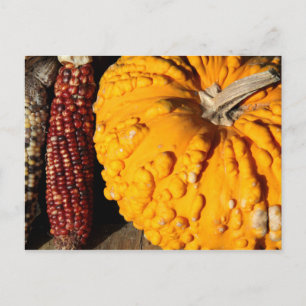 Fall Harvest Postcard