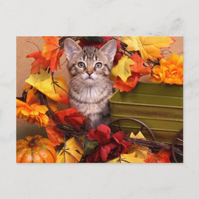 Fall Harvest Postcard (Front)