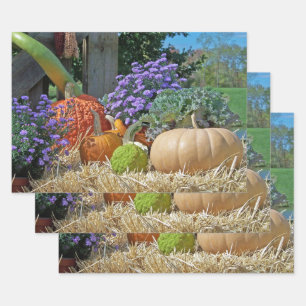 Fall Harvest Wrapping Paper Sheet