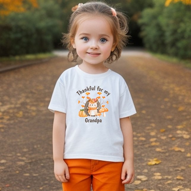 Fall Hedgehog Thankful For Toddler T-shirt (Creator Uploaded)