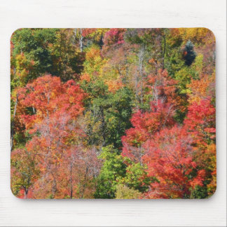 Fall Hillside Colourful Autumn Nature Photography Mouse Pad