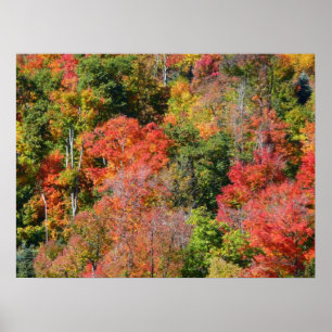 Fall Hillside Colourful Autumn Nature Photography Poster