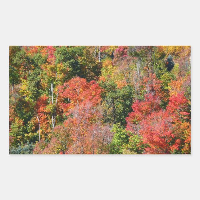Fall Hillside Colourful Autumn Nature Photography Rectangular Sticker (Front)
