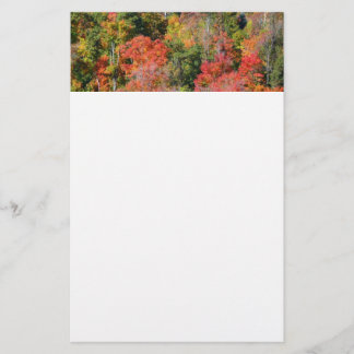 Fall Hillside Colourful Autumn Nature Photography Stationery