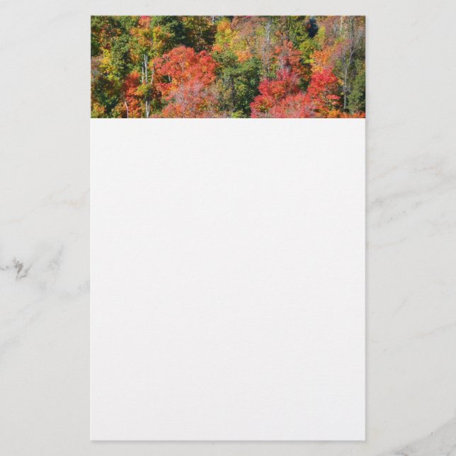 Fall Hillside Colourful Autumn Nature Photography Stationery (Front)