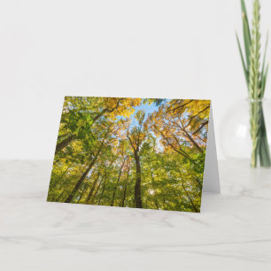 Fall in a Forest in Amesbury, Massachusetts Card