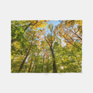 Fall in a Forest in Amesbury, Massachusetts Fleece Blanket